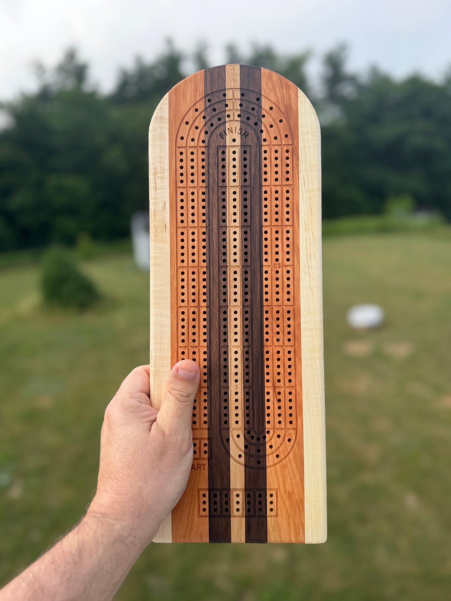 Medium Cribbage Board #161