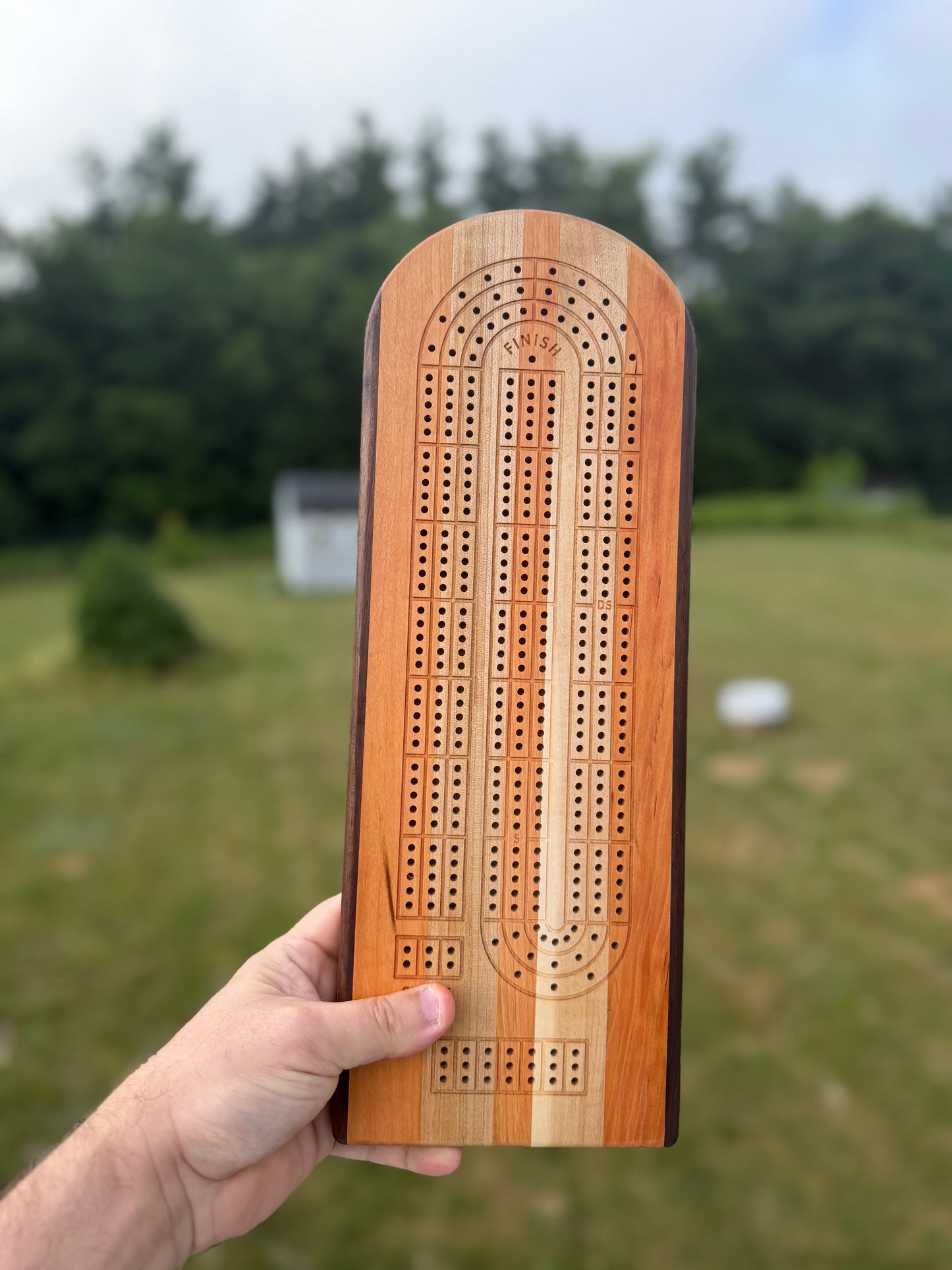 Medium Cribbage Board #164