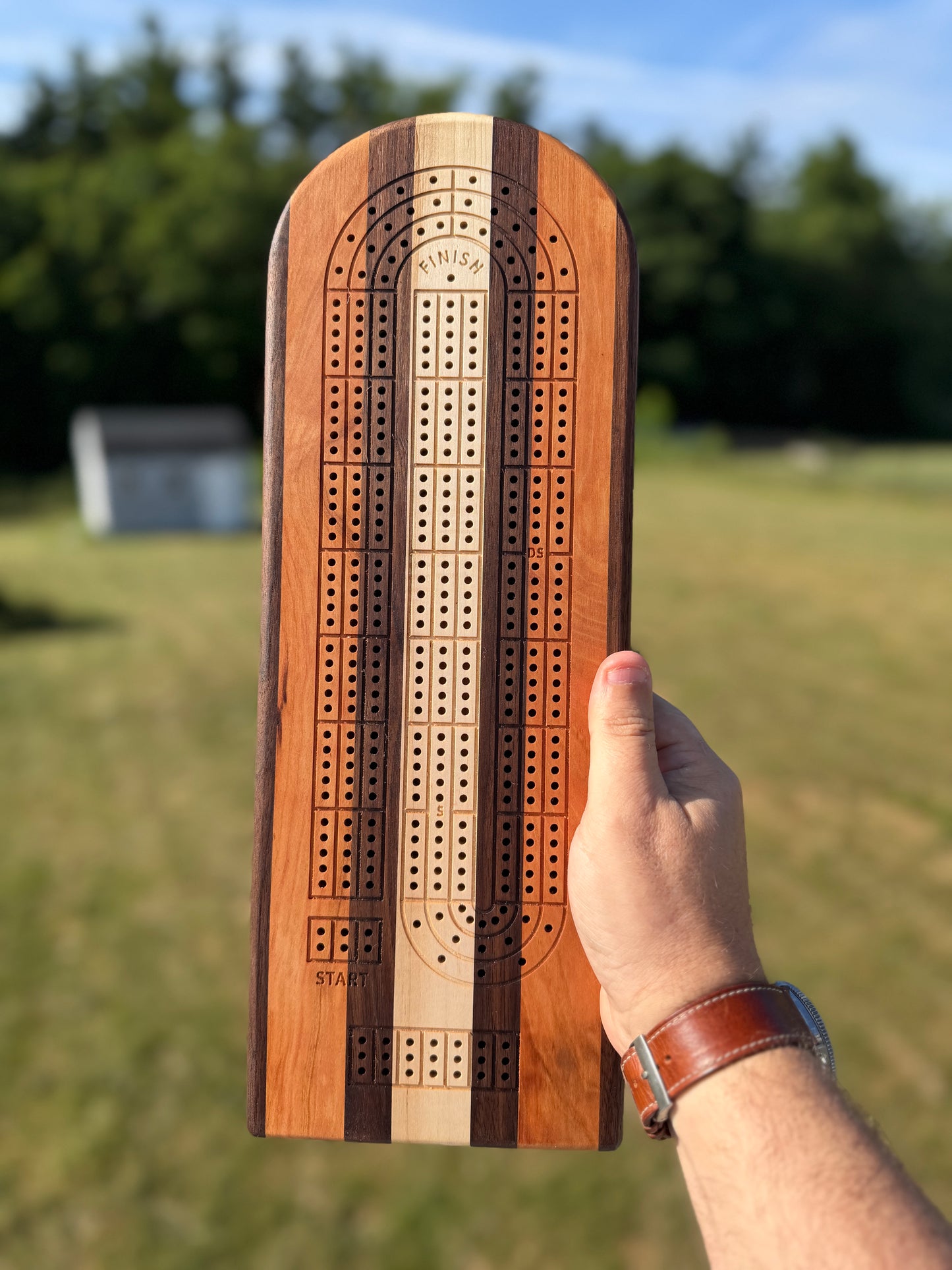 Medium Cribbage Board #155