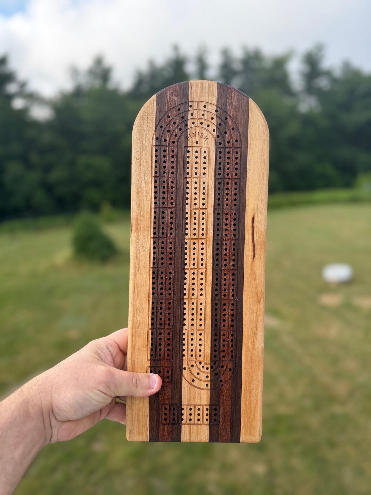 Medium Cribbage Board #162