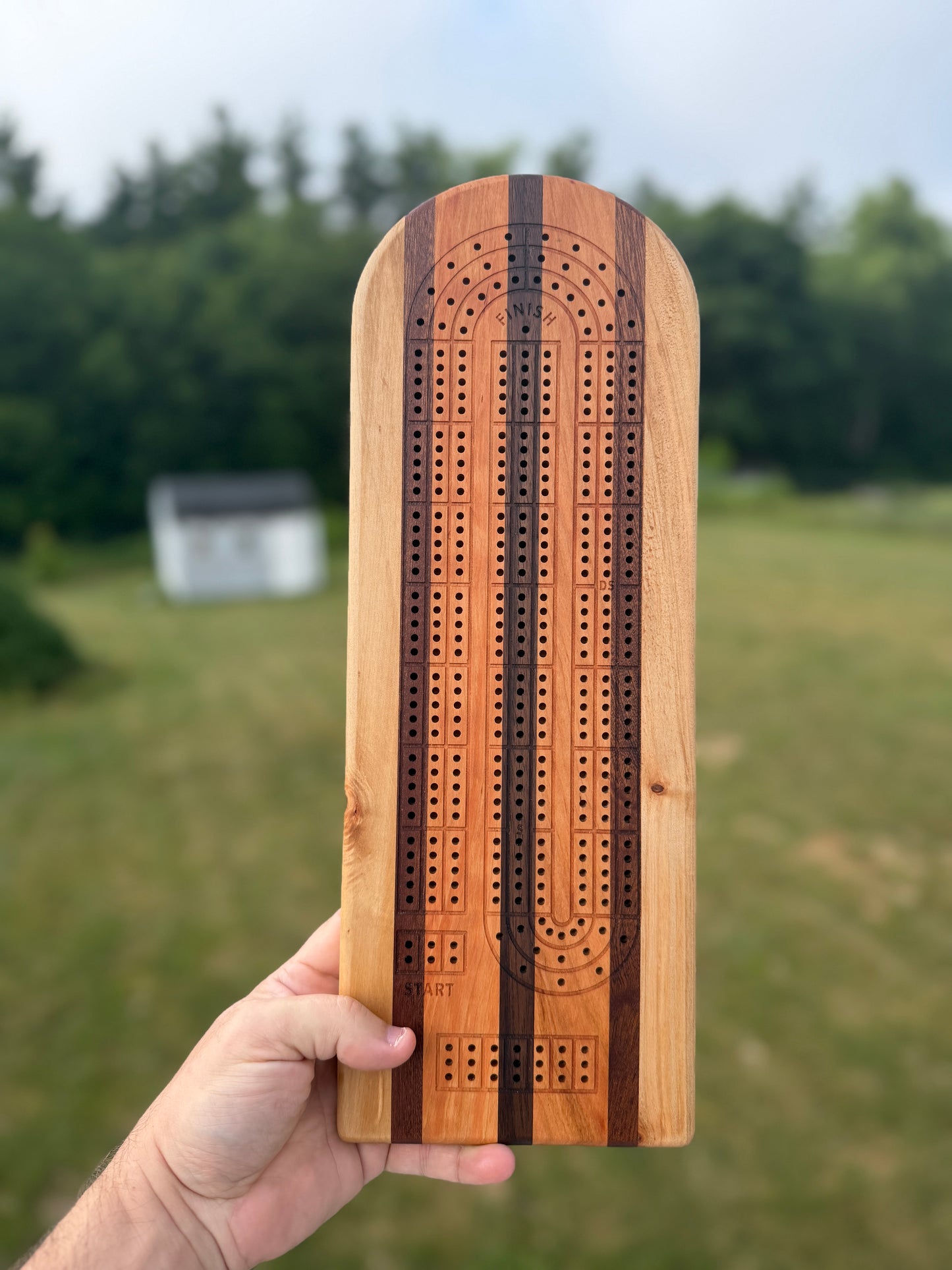 Medium Cribbage Board #158