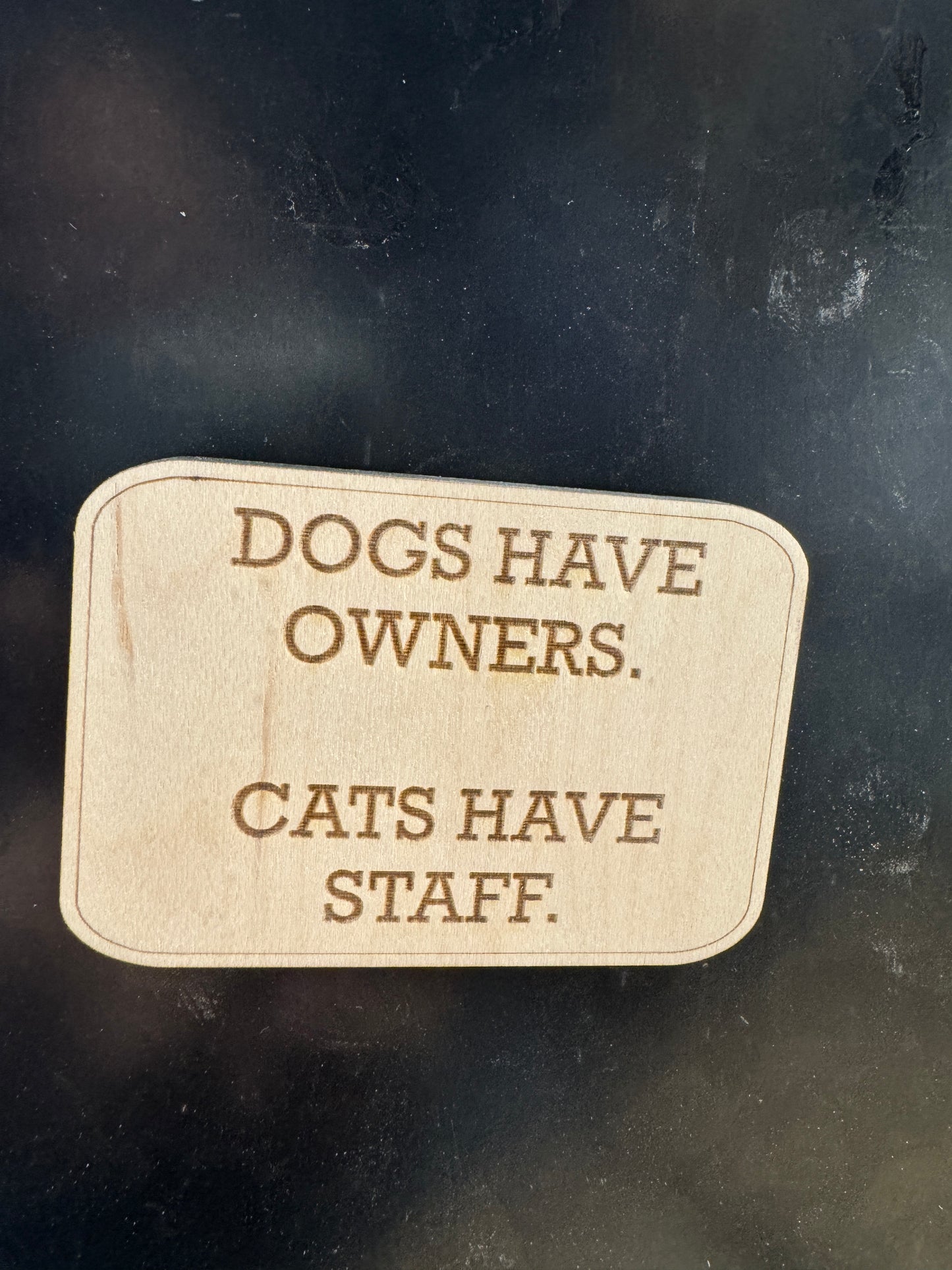 Snarky fridge magnets