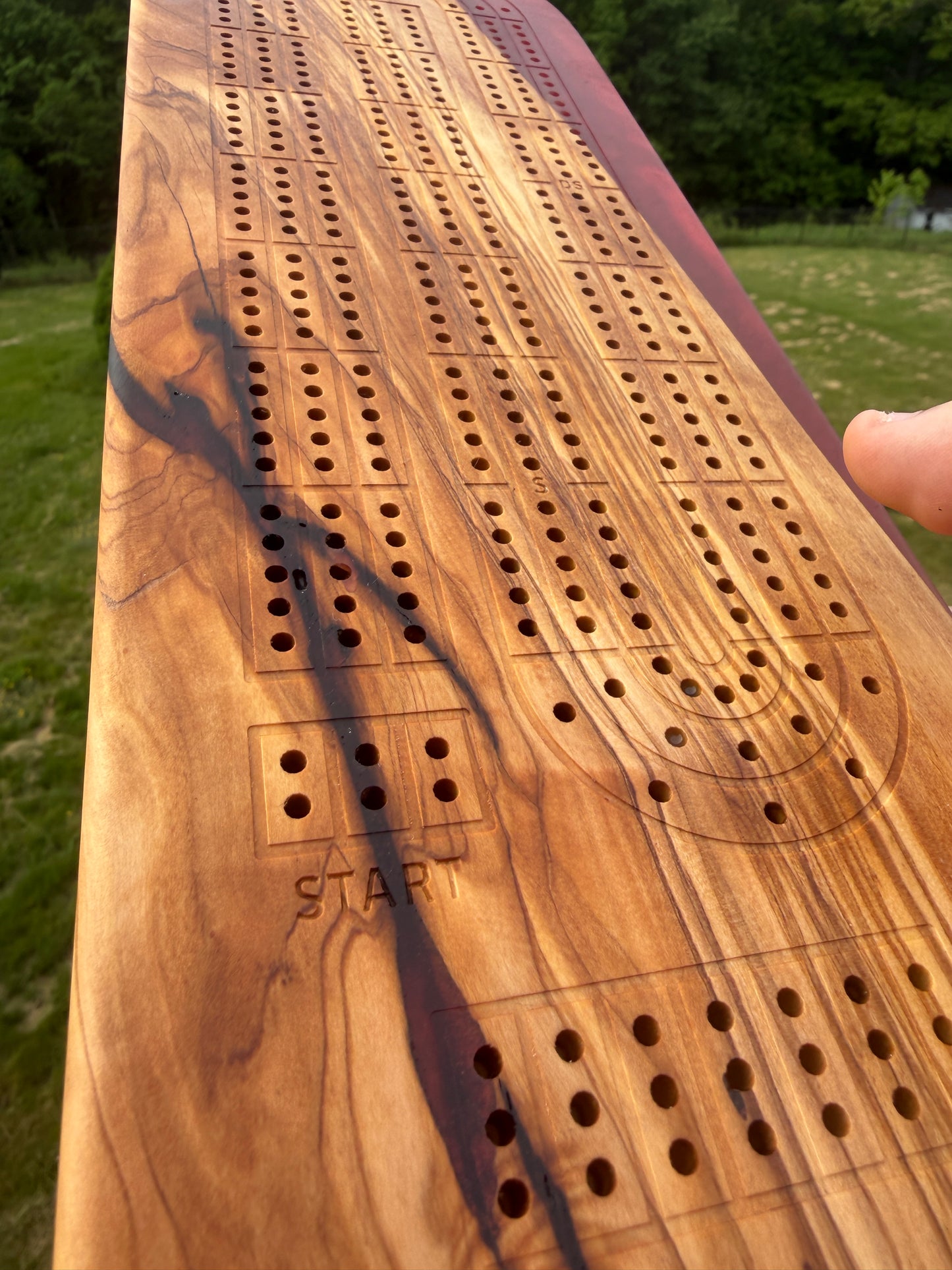 Large Cribbage Board #29