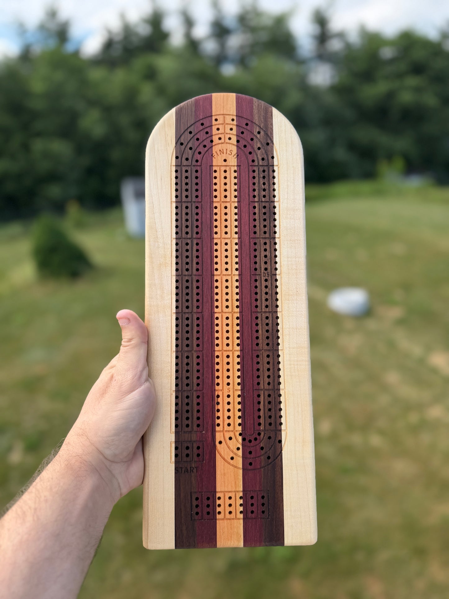 Medium Cribbage Board 145