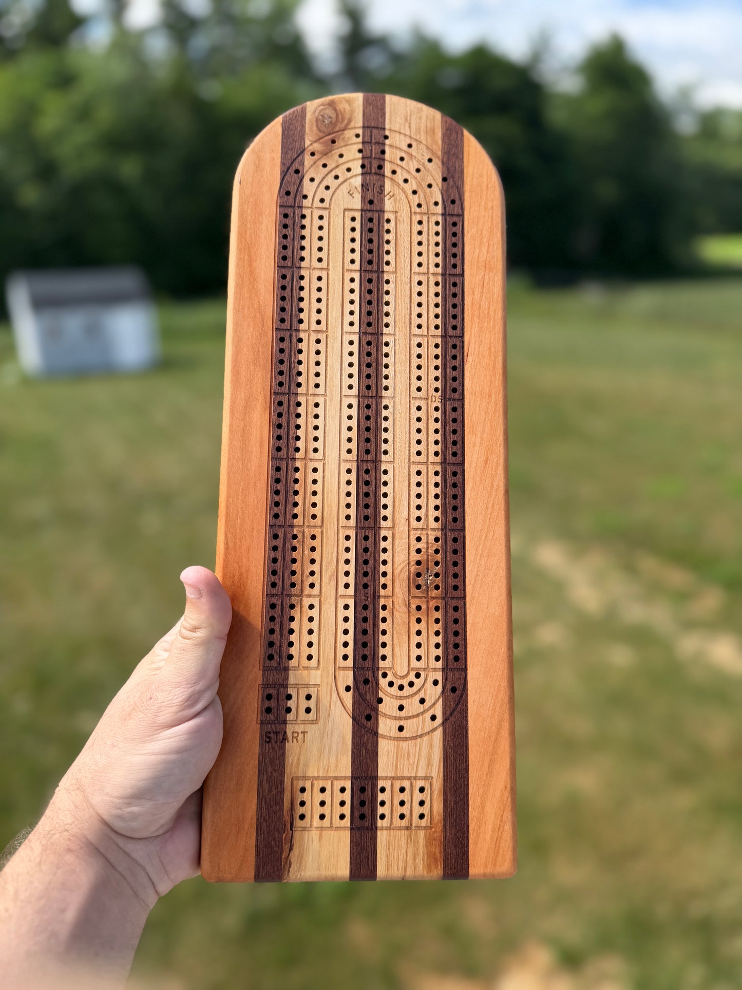 Medium Cribbage Board 147