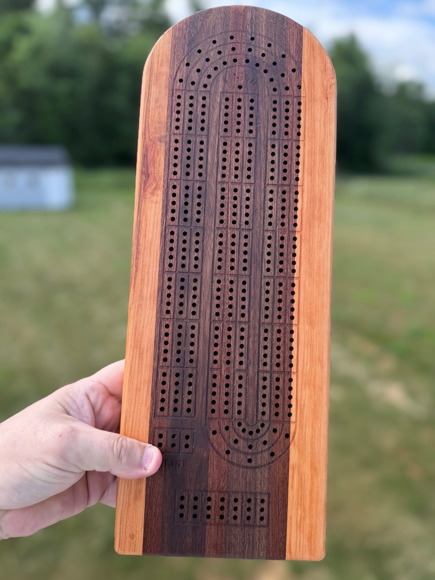 Medium Cribbage Board 148