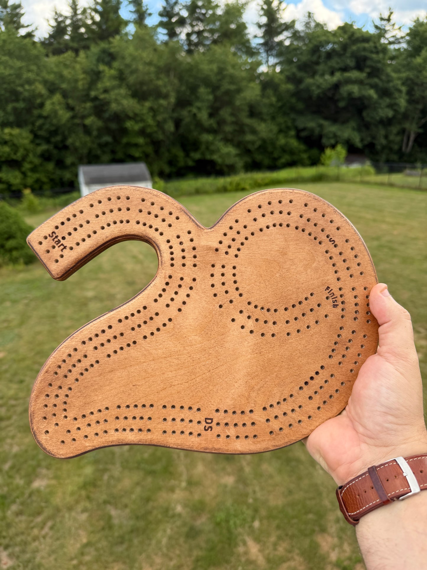Cribbage: 29 Cribbage Board – The perfect hand
