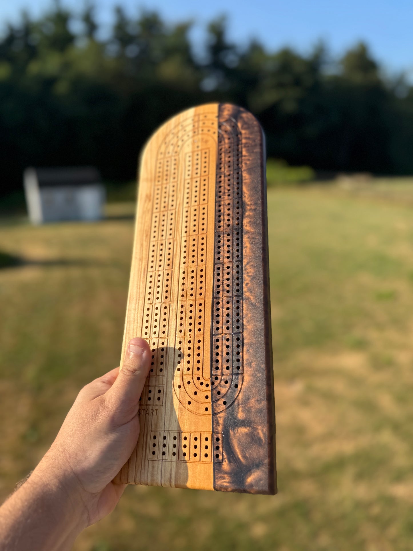 Large Cribbage Board #19