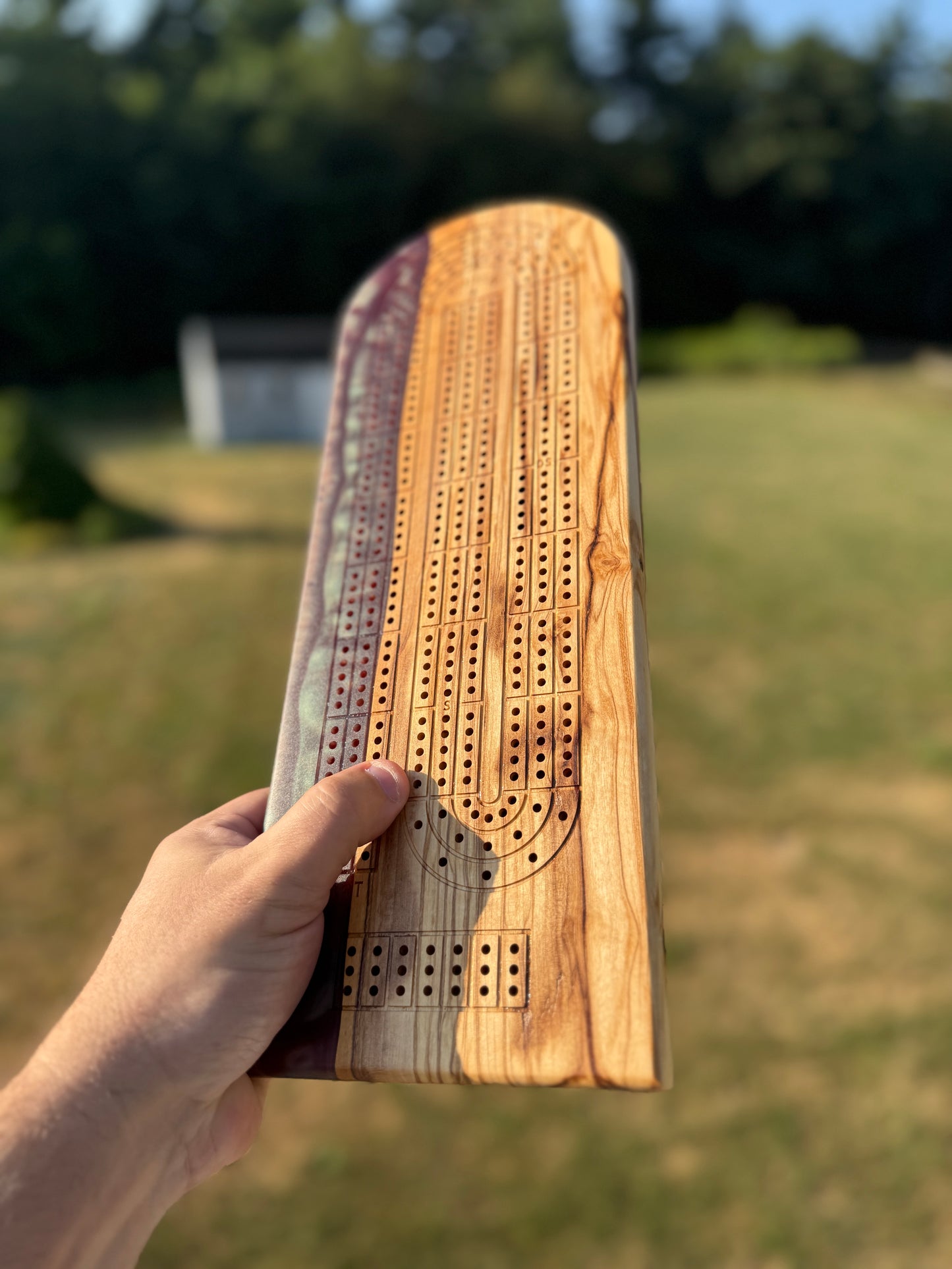 Large Cribbage Board #20