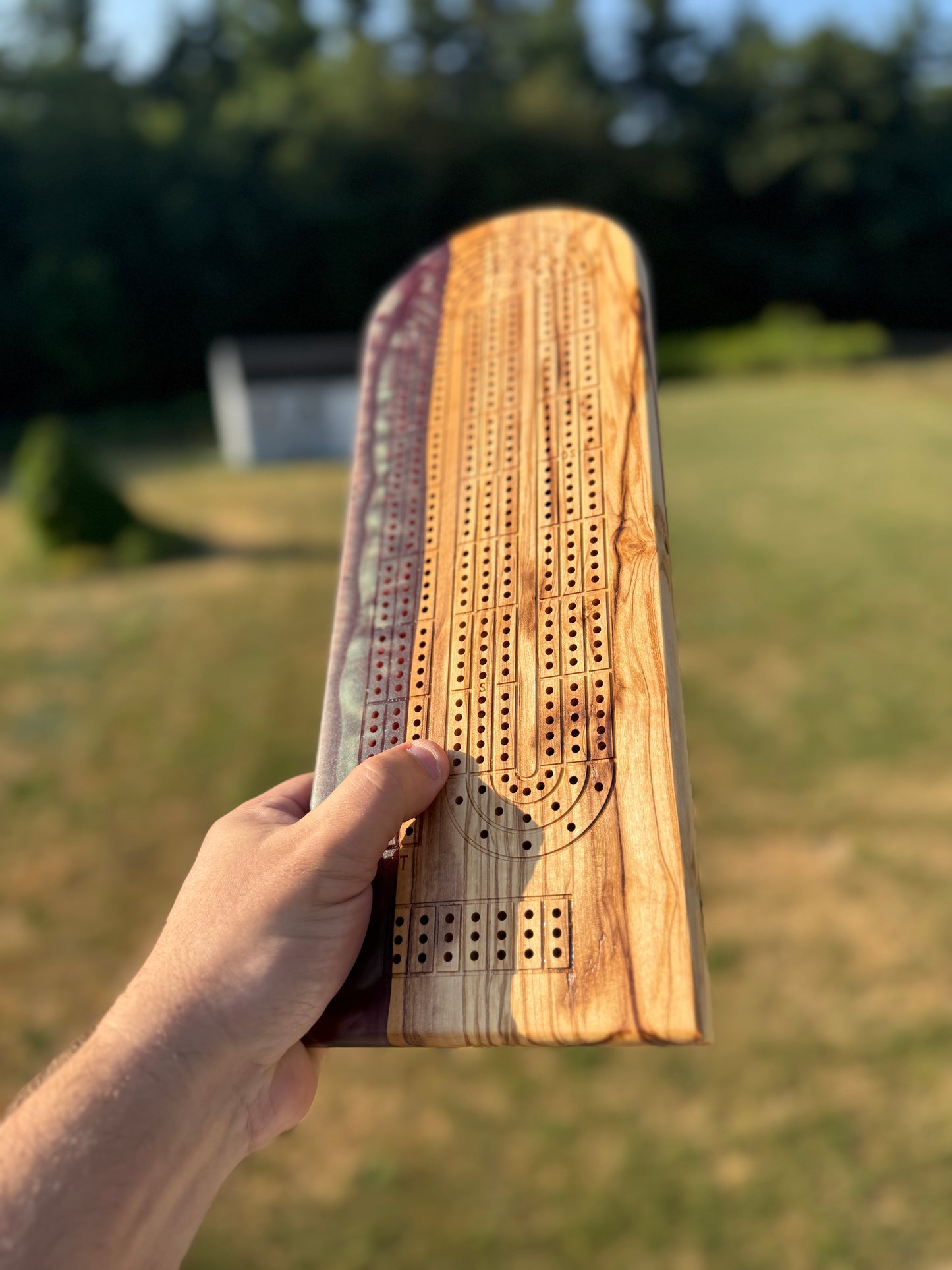 Large Cribbage Board #20