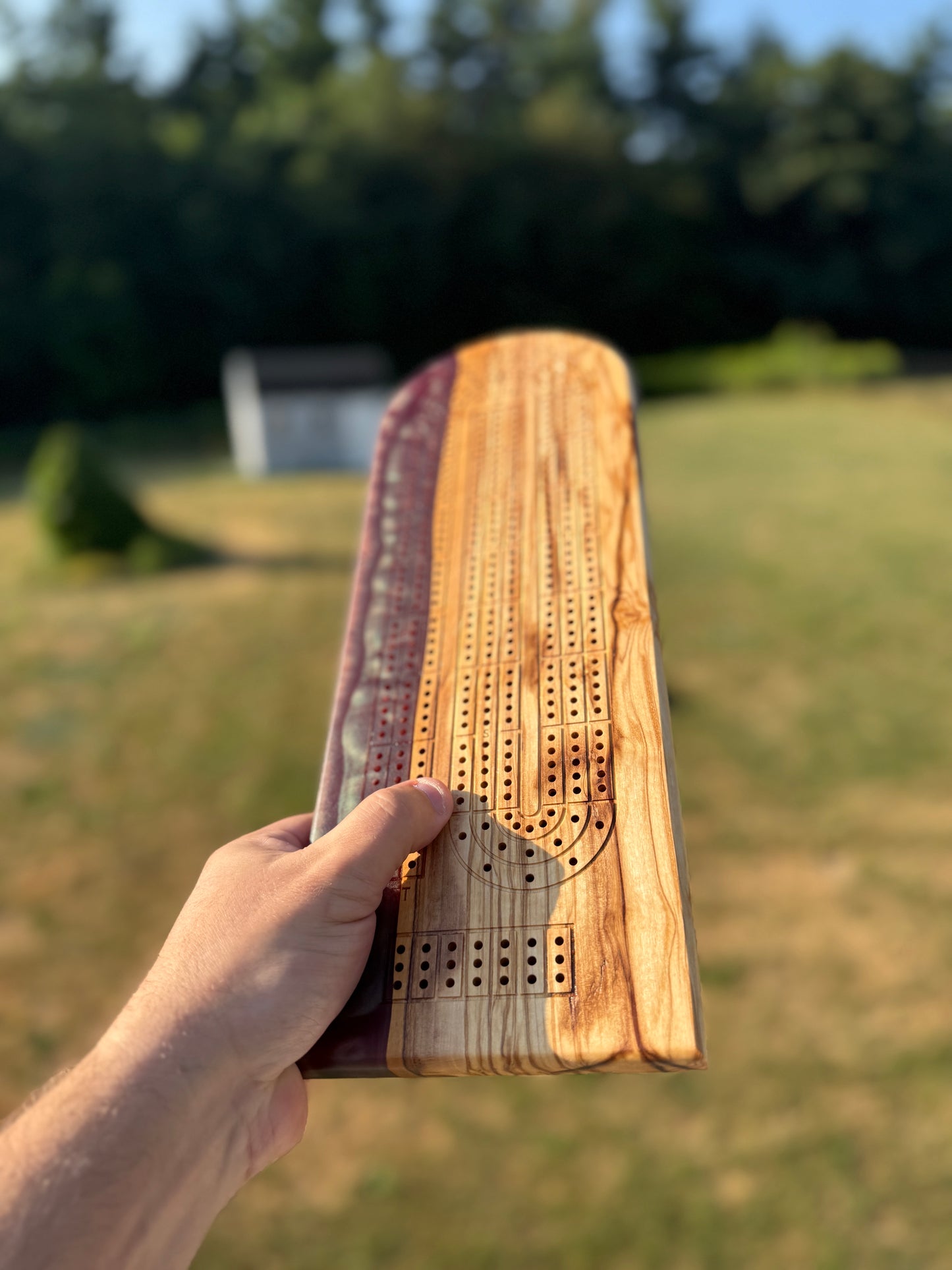 Large Cribbage Board #20