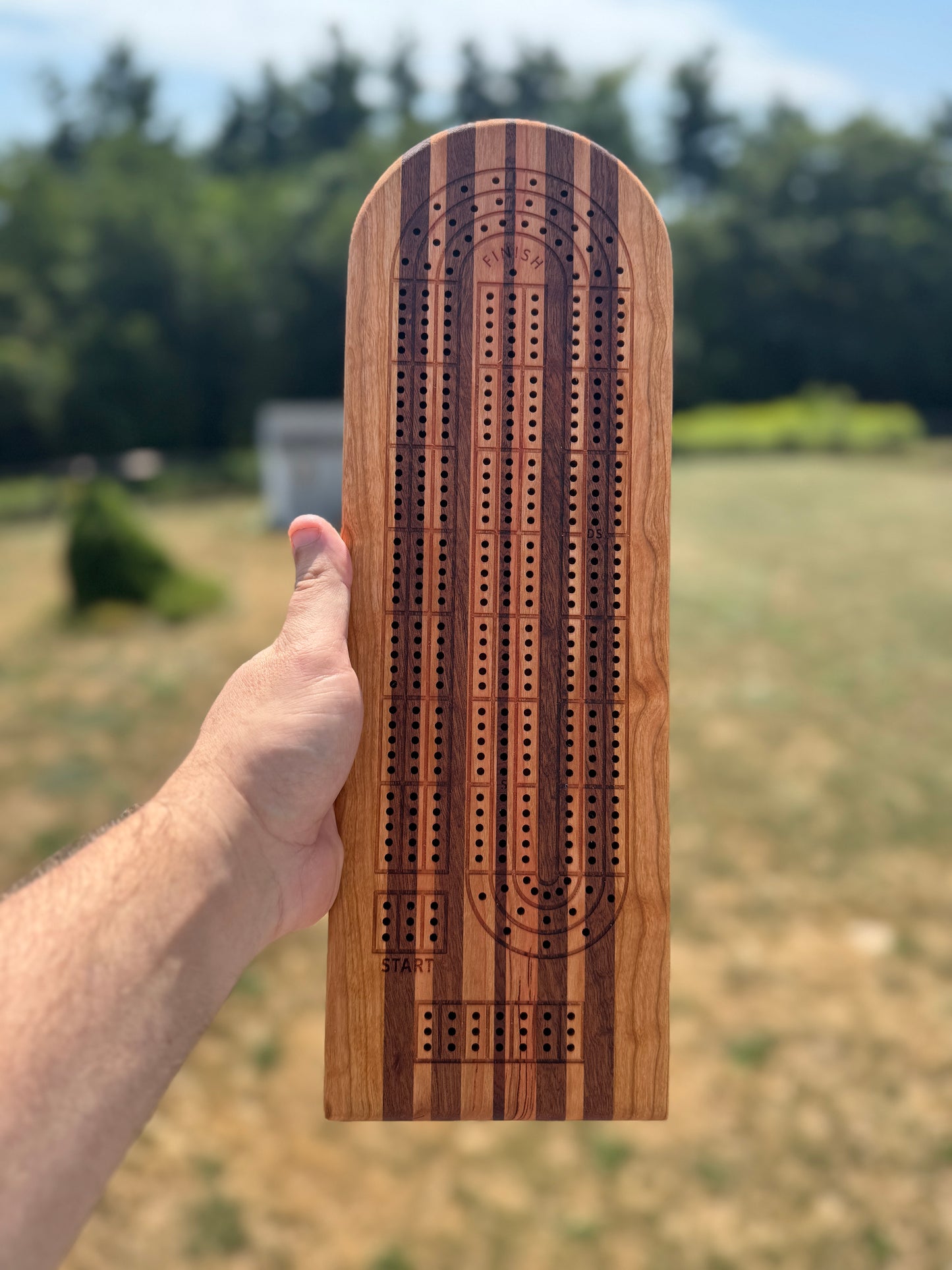 Medium Cribbage Board 115
