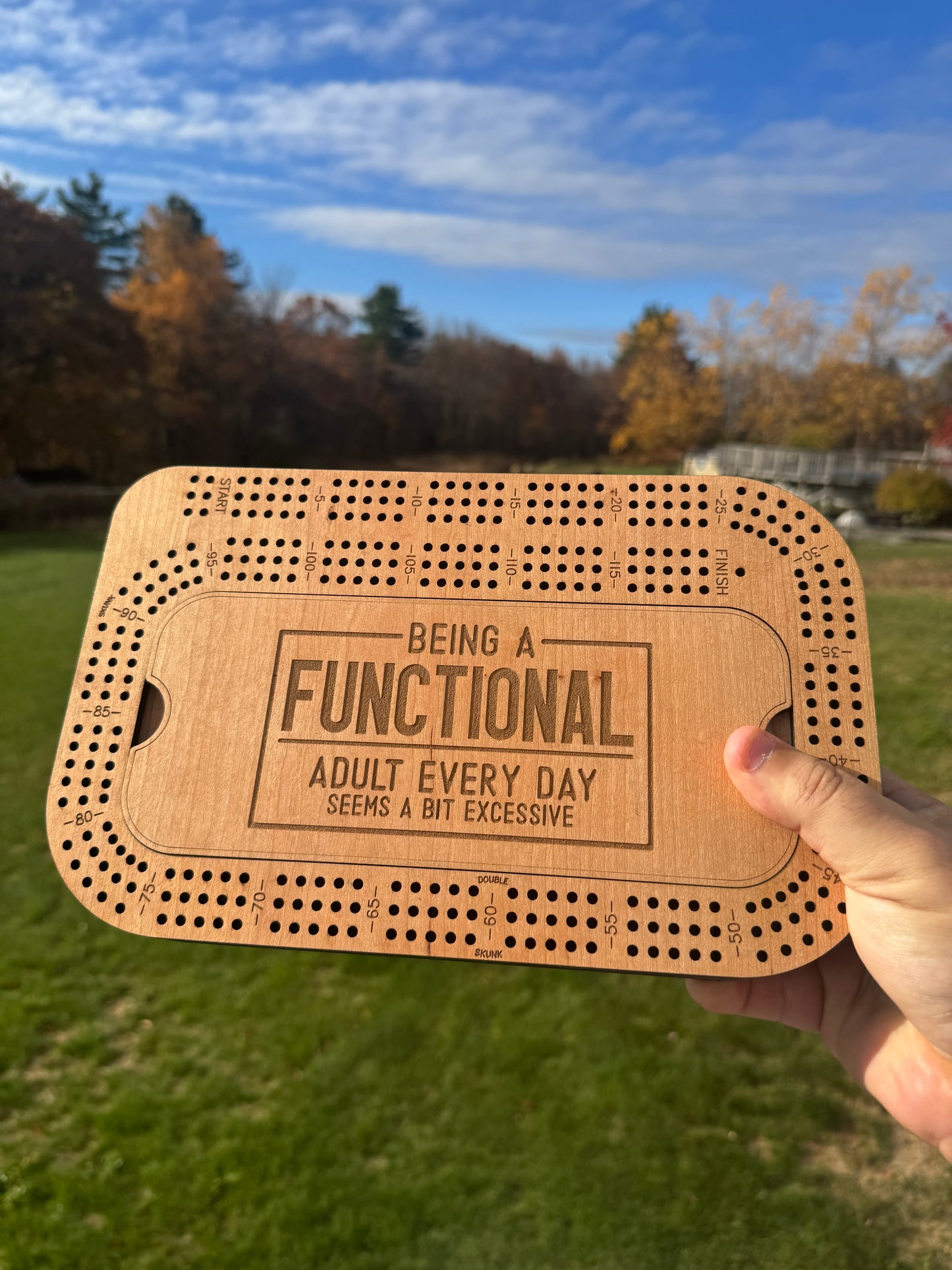Cribbage: “Being a Functional Adult”