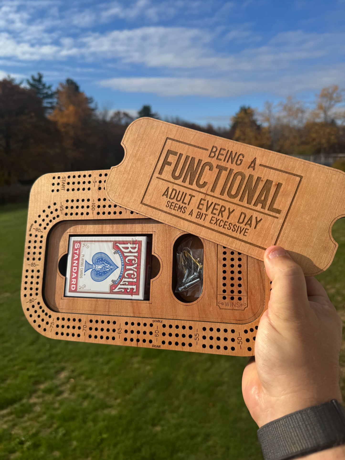 Cribbage: “Being a Functional Adult”