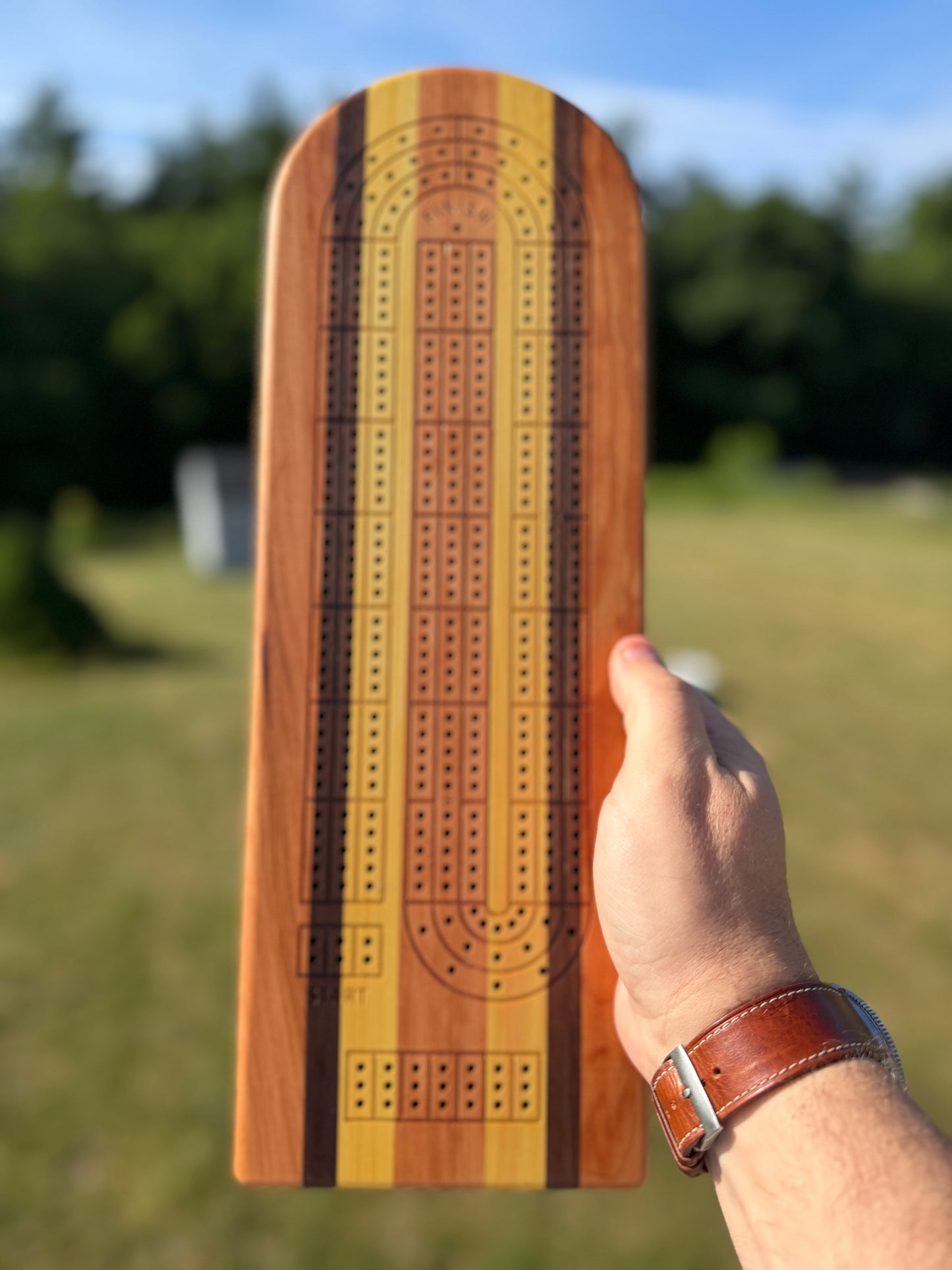 Medium Cribbage Board #151