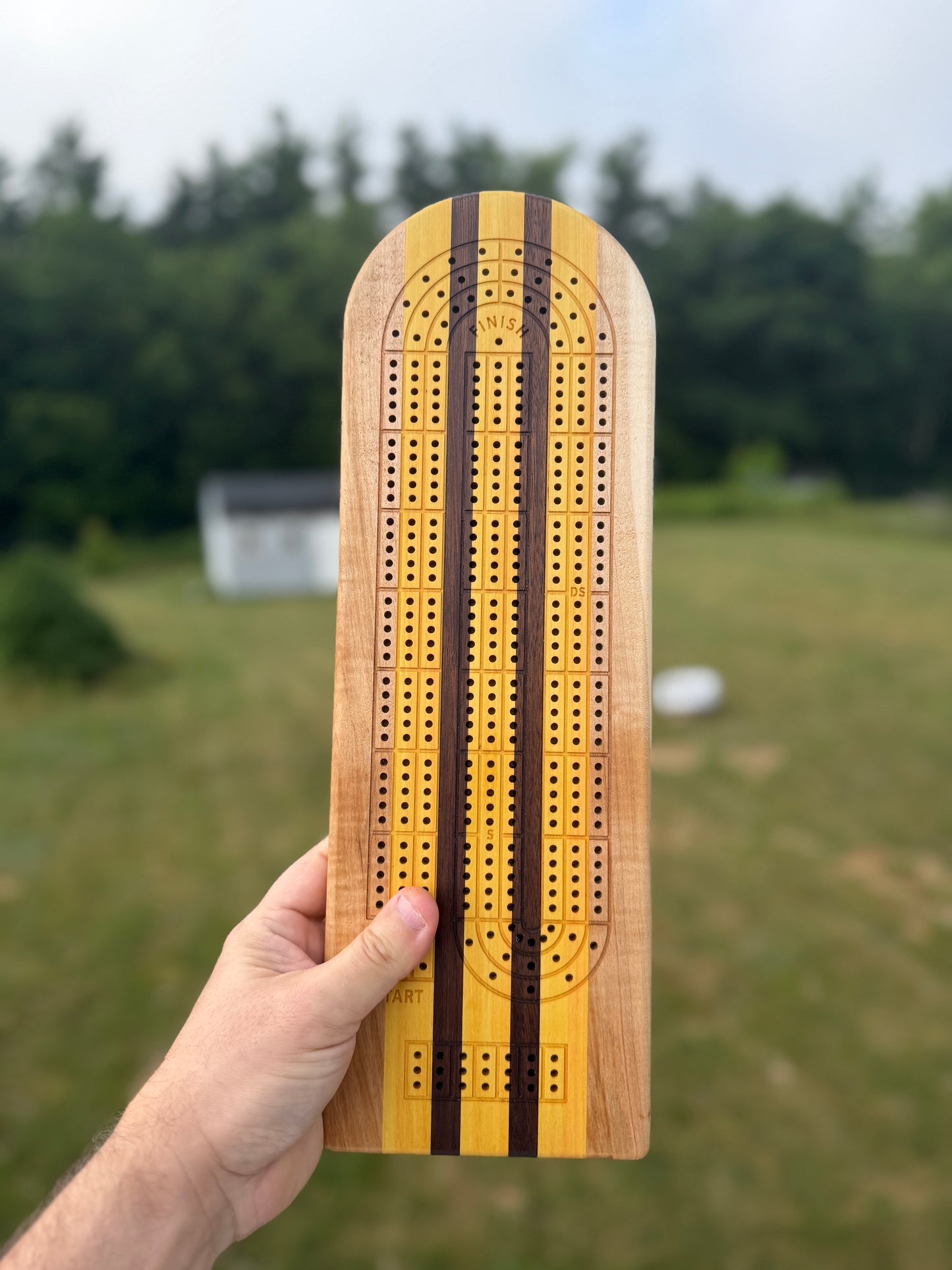 Medium Cribbage Board #163