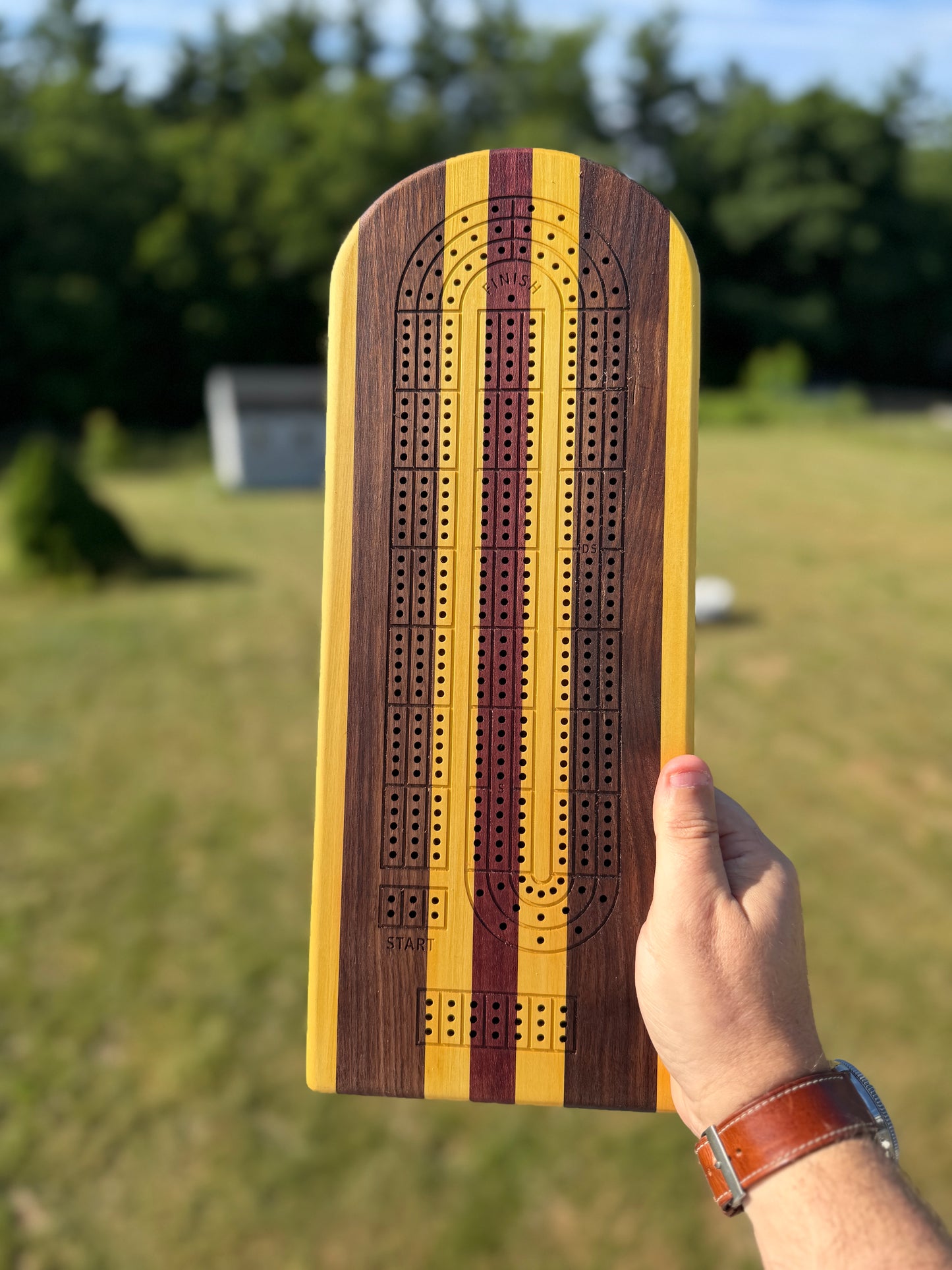 Medium Cribbage Board #157