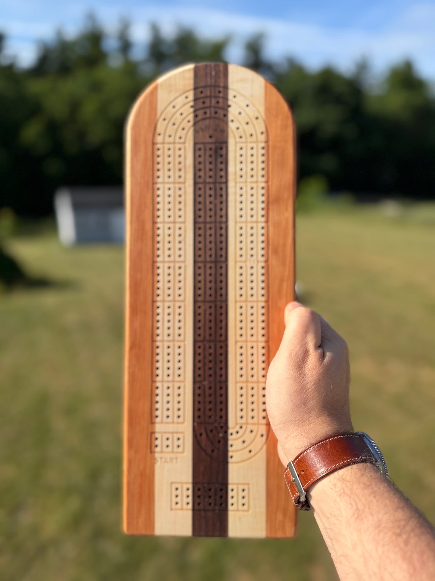 Medium Cribbage Board #153
