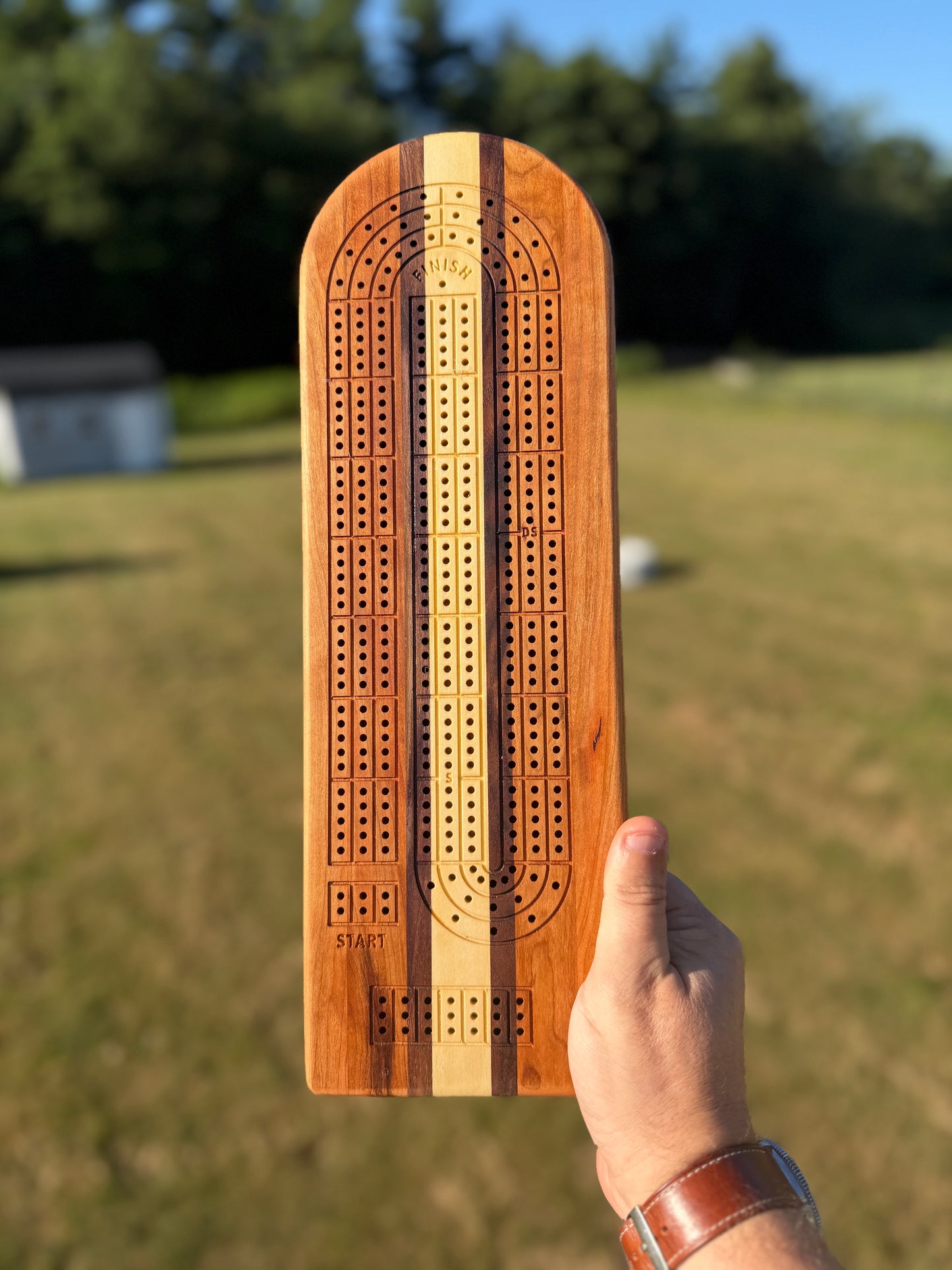 Medium Cribbage Board #167