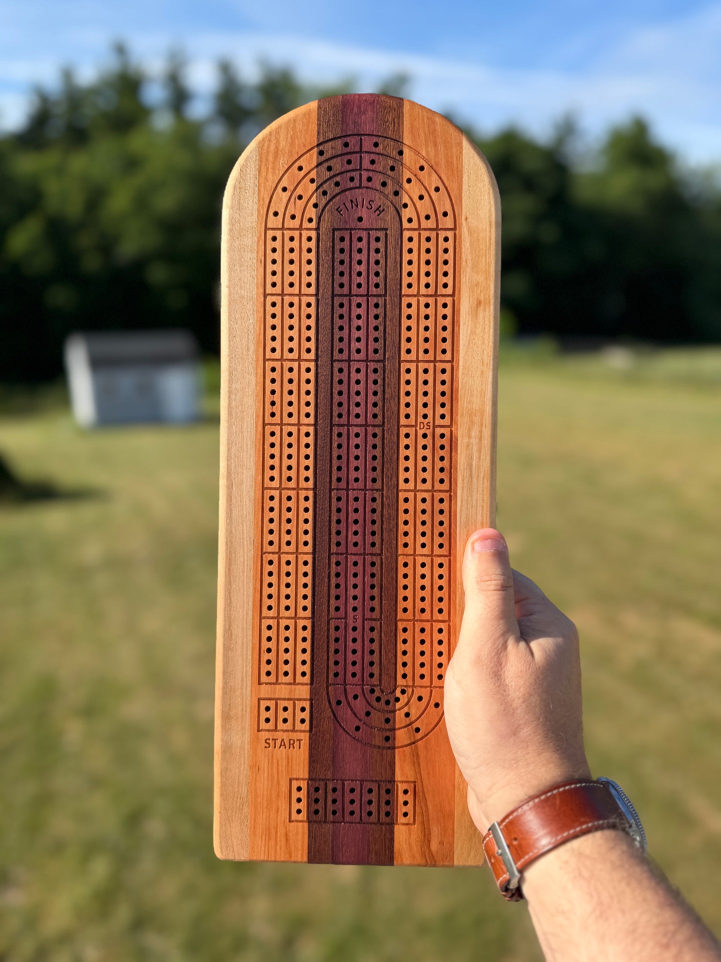 Medium Cribbage Board #154