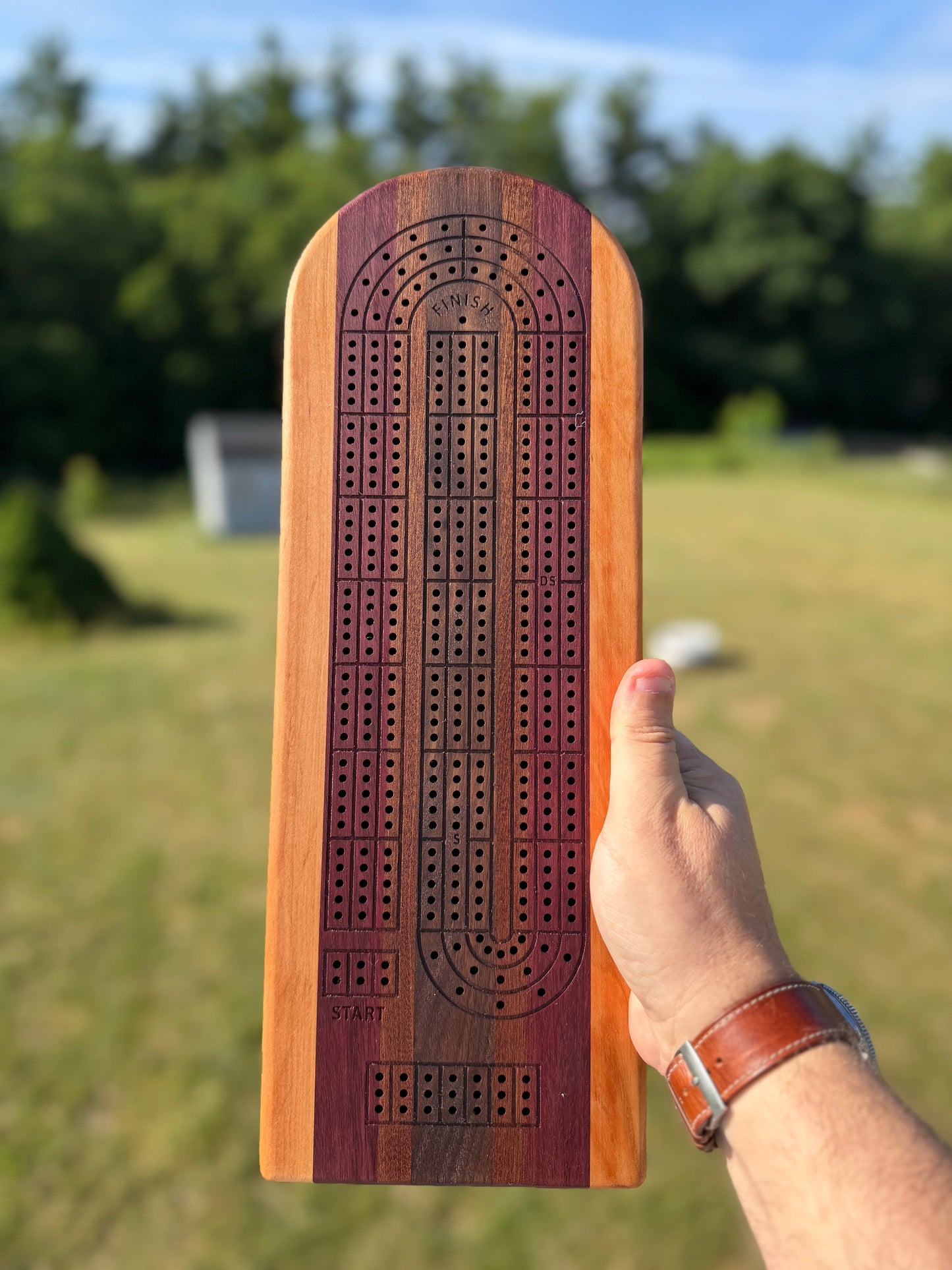Medium Cribbage Board #156
