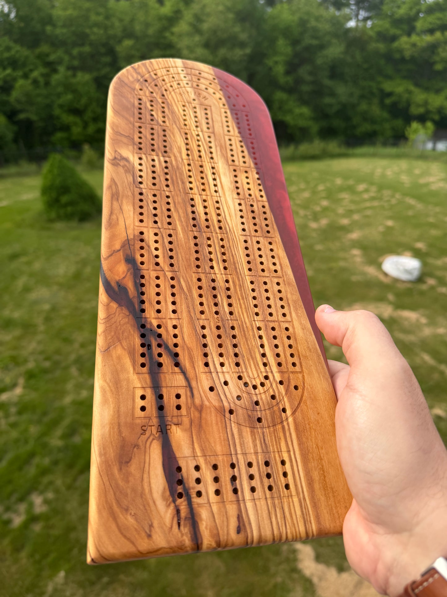 Large Cribbage Board #29