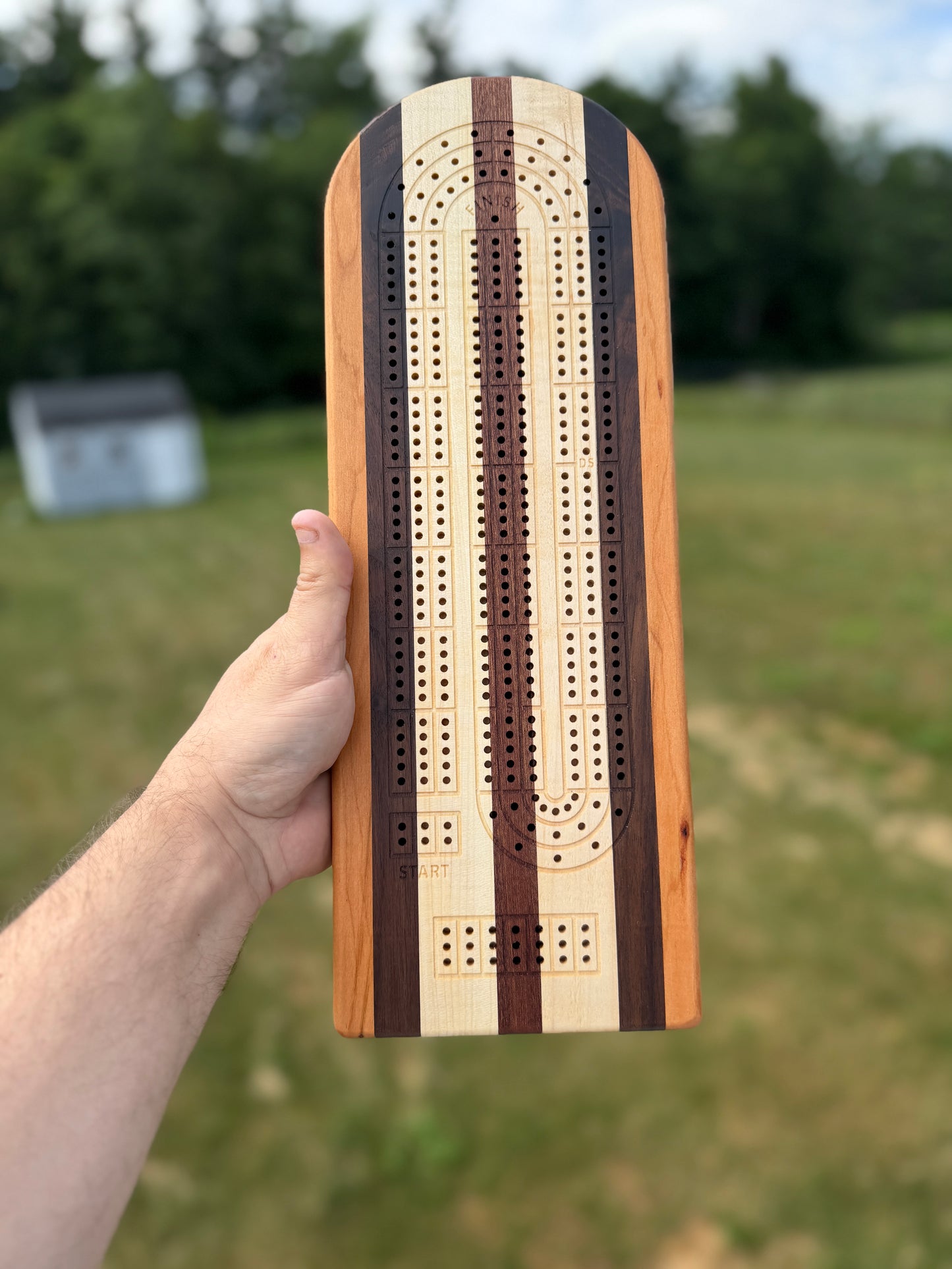 Medium Cribbage Board 144