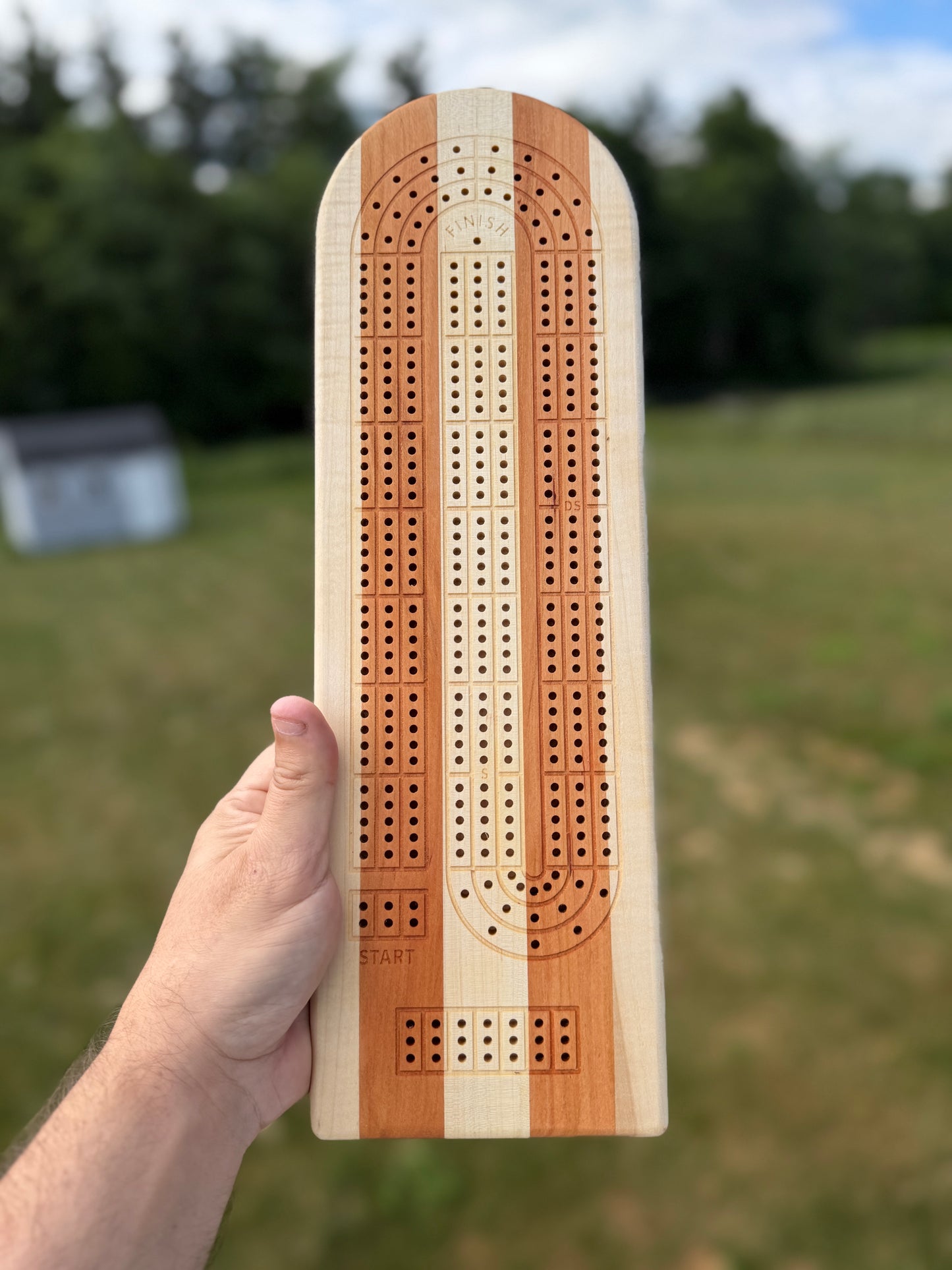 Medium Cribbage Board 143