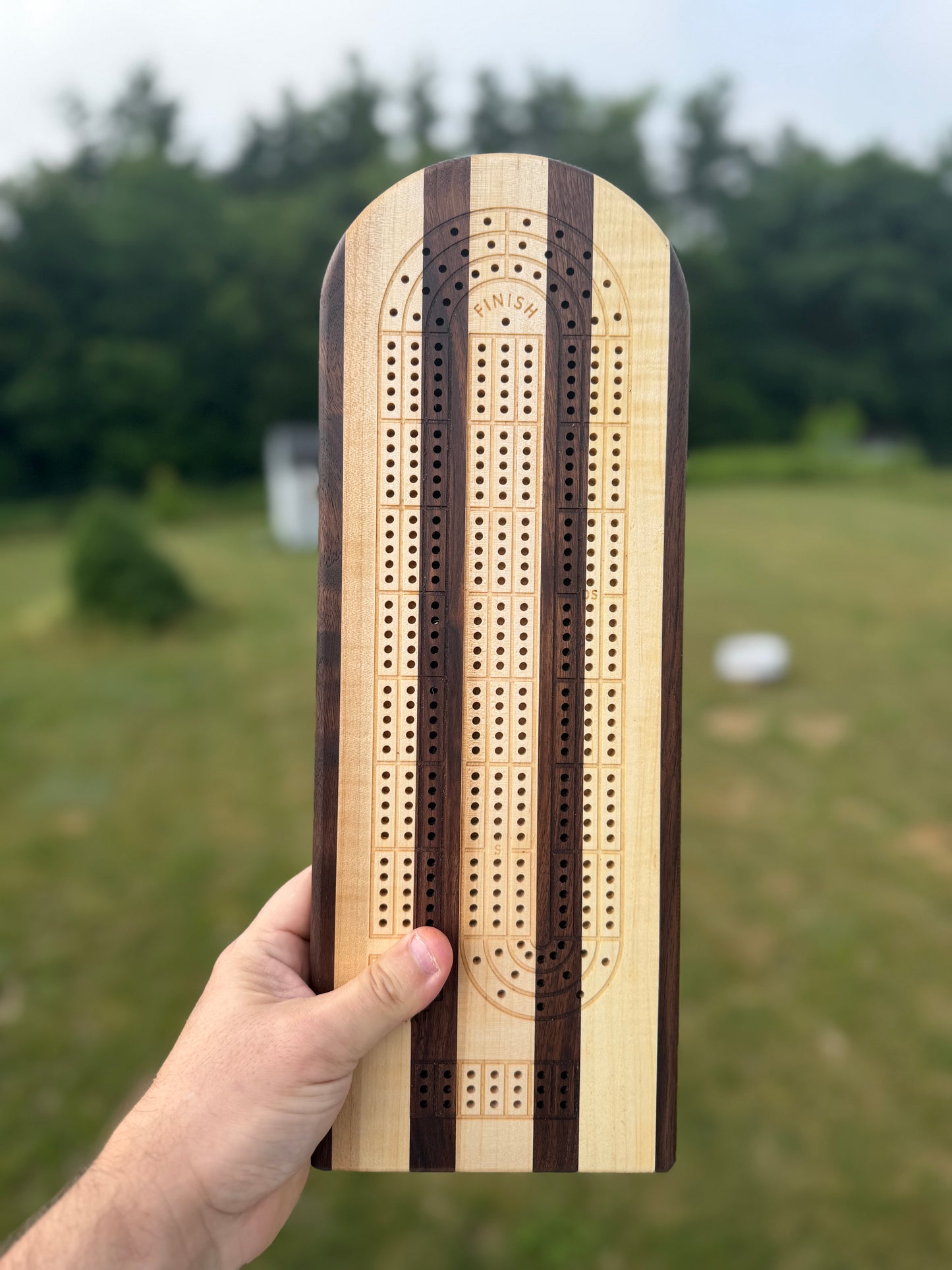 Medium Cribbage Board #159